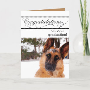 Humorous Graduation Card with German Shepherd