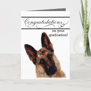 Humorous Graduation Card with German Shepherd