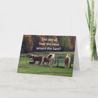 HUMOROUS HORSES KIDDING ABOUT YOUR AGE