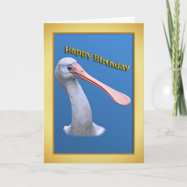 Humorous Spoonbill Birthday Card (Front)