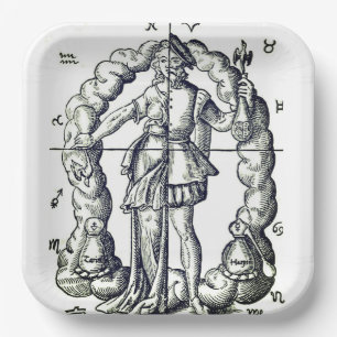 Humorous vintage illustration of zodiac signs  paper plate
