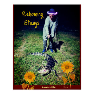 Humour - Country Life -- Rehoming Strays Poster