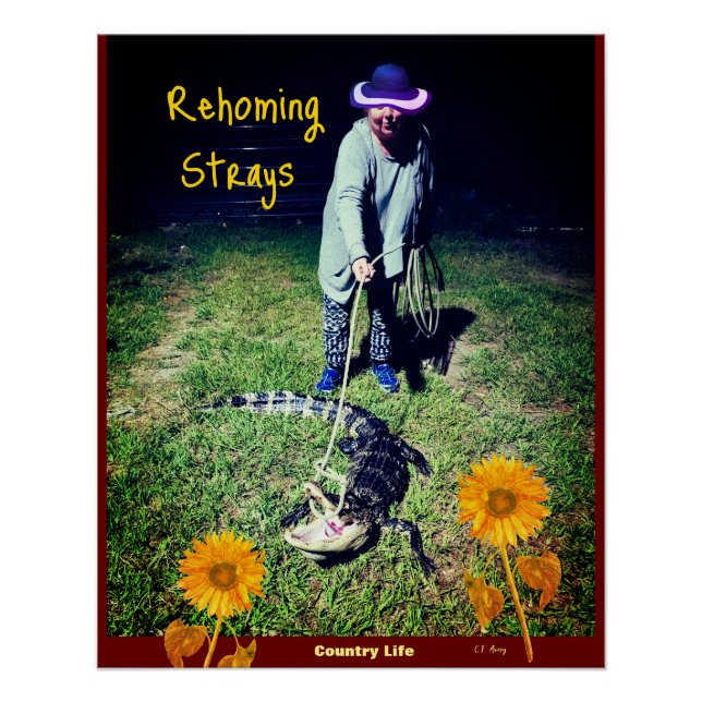 Humour - Country Life -- Rehoming Strays Poster (Front)