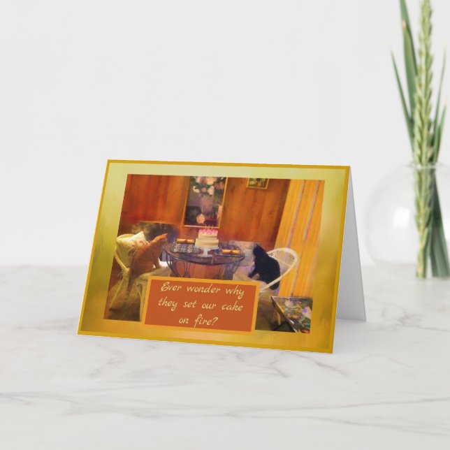 Humour Family Cats Setting the cake "on fire"  Holiday Card (Front)
