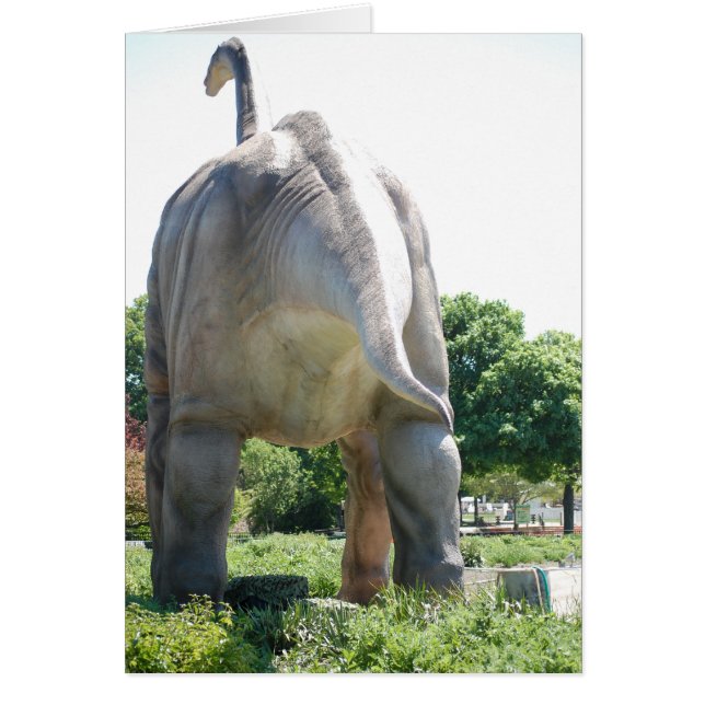 Humour/Funny (Front)