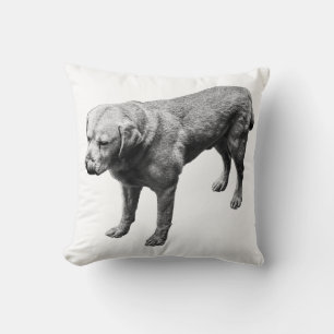 Humour in Ink Cushion
