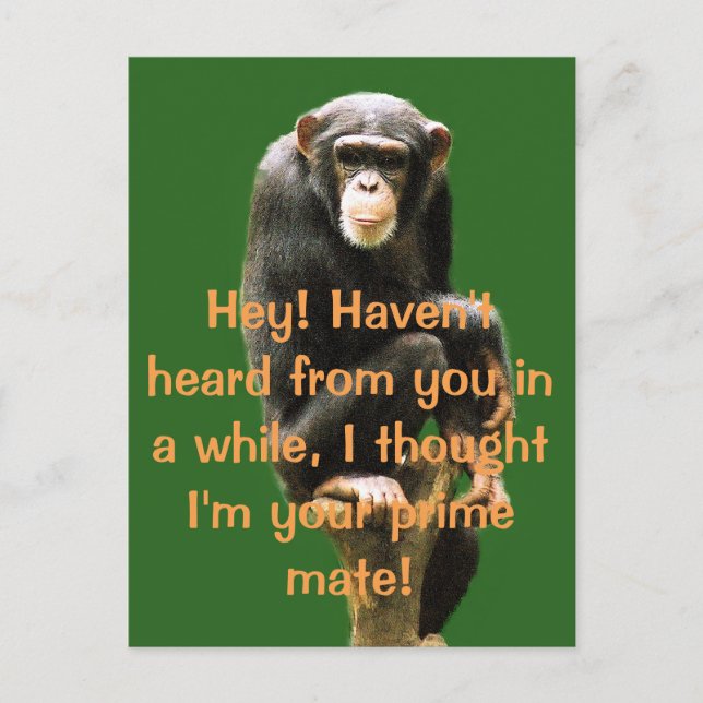 Humour Post Card (Front)