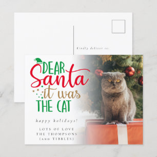 Humour Santa It Was The Cat Photo Holiday Postcard
