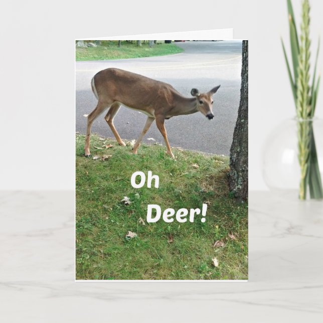 Humourous belated Birthday wishes Card (Front)