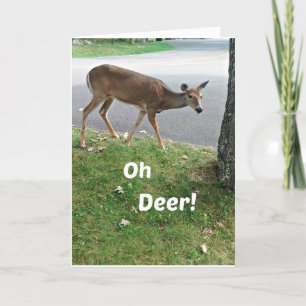 Humourous belated Birthday wishes Card