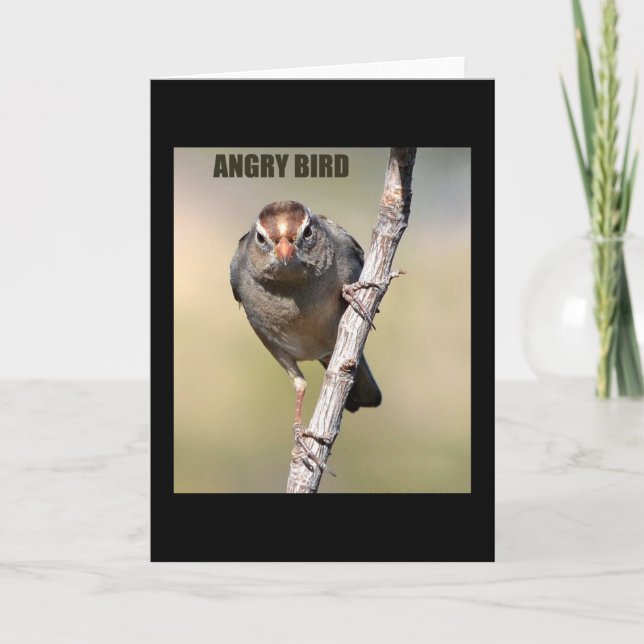 Humourous Bird Greeting Card (Front)