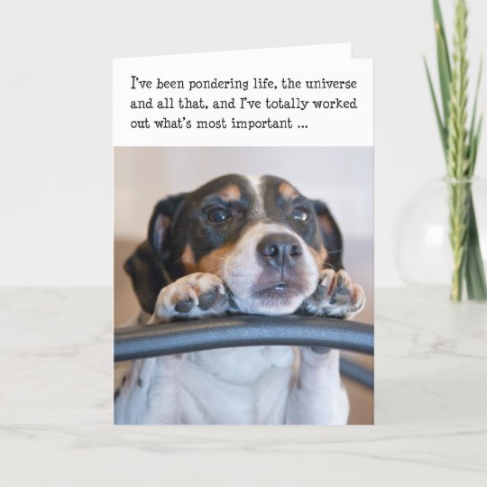 Humourous Birthday Card Dog Pondering Life Zazzle Co Uk