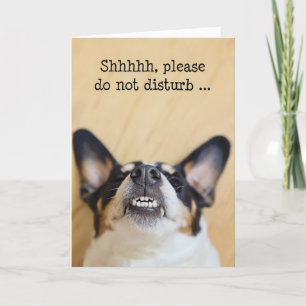 Humourous Birthday Card - Dog Wearing Silly Grin
