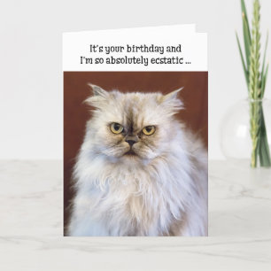 Humourous Birthday Card - Ecstatic Persian Cat
