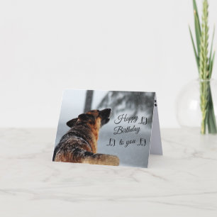 Humourous Birthday Greeting with German Shepherd Card