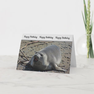 Humourous Birthday Pacific Elephant Seal Card