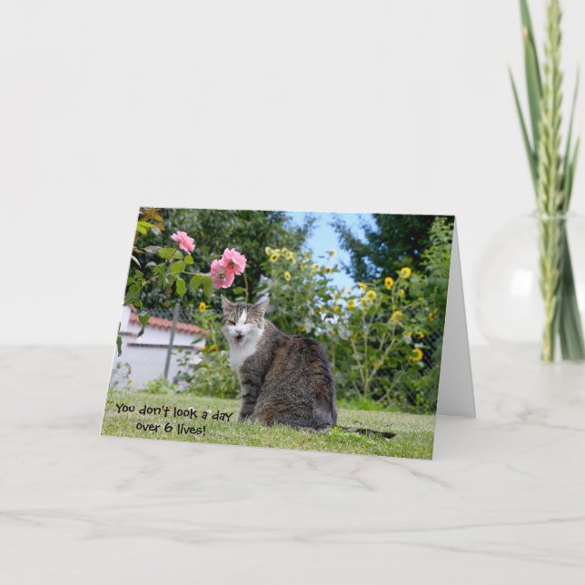 humourous birthday tabby cat card (Front)
