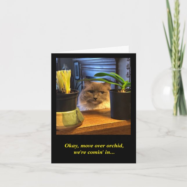 Humourous Birthday Wish Card (Front)