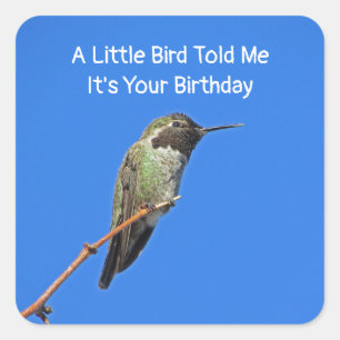 Humourous Birthday Wishes Hummingbird Envelope Sea Square Sticker