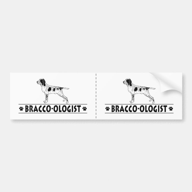 Humourous Bracco Italiano Bumper Sticker (Front)