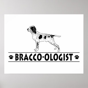 Humourous Bracco Italiano Poster