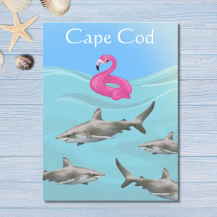 Humourous Cape Cod Great White Shark Beach Postcard