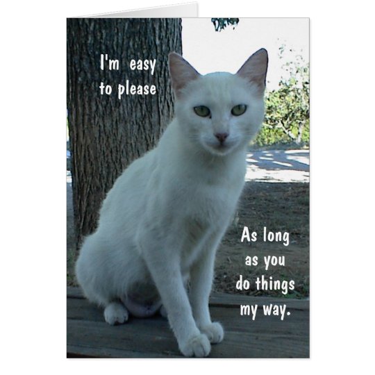 Humourous Card, white cat, blank inside Card