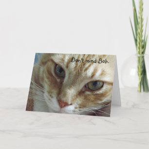 Humourous Cat Birthday Card