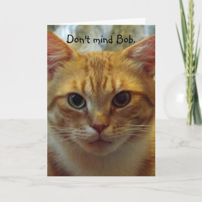 Humourous Cat Birthday Card (Front)