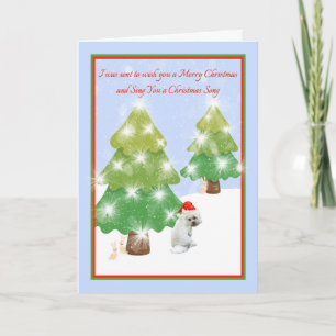 Humourous Christmas Card with White Dog