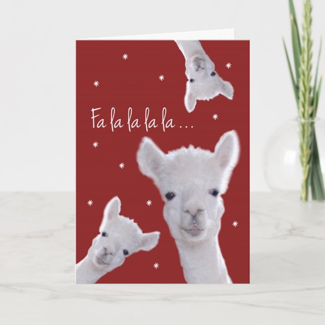 Humourous Christmas Carol Card, Llamas & Snowflake Holiday Card (Front)