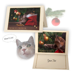 Humourous Christmas Cat Card