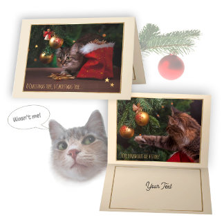 Humourous Christmas Cat Card