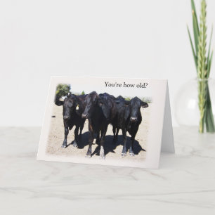 Humourous Cow "Getting Older" Birthday Card