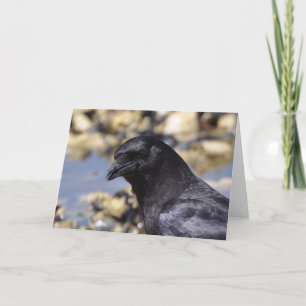 Humourous Crow - Frameable Art Card
