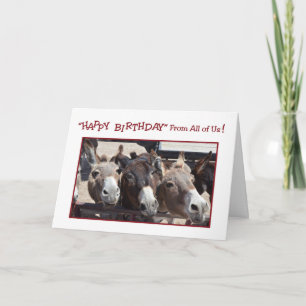 Humourous Donkey Group Birthday, From All of Us Card