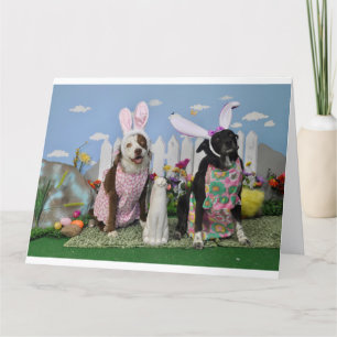 Humourous Easter card for anyone,
