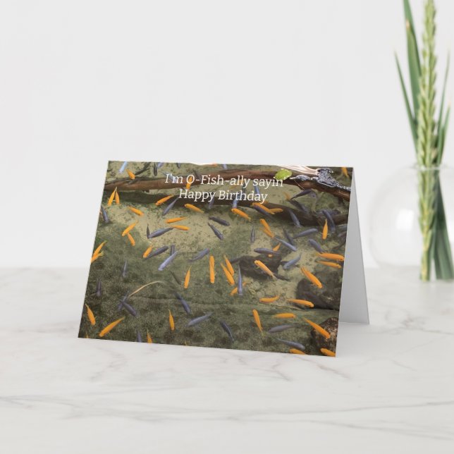 Humourous Fish Birthday Card (Front)
