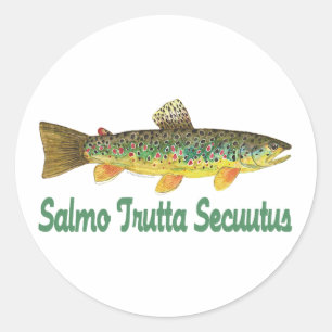 Humourous Fish, Fishing, Fly Fishing Classic Round Sticker