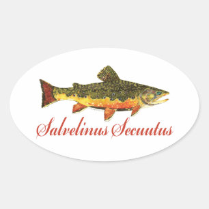 Humourous Fish, Fishing, Fly Fishing Oval Sticker