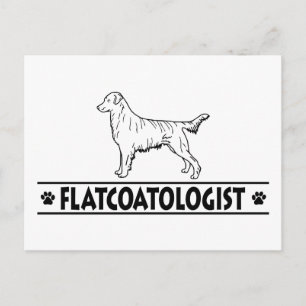Humourous Flat Coated Retriever Postcard