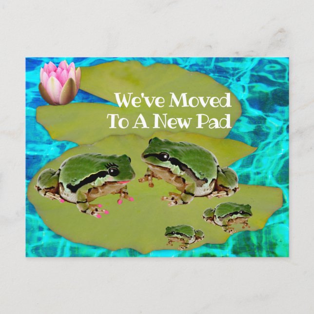 Humourous Frogs Lilies Pad We Moved Announcement Postcard (Front)