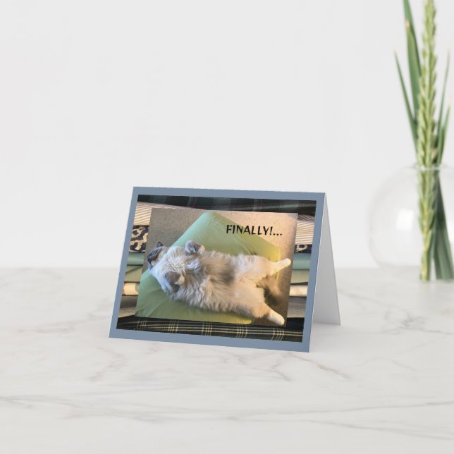 Humourous, funny and silly  card (Front)