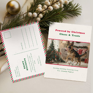 Humourous Funny Pet Dog Photo Christmas Holiday Postcard