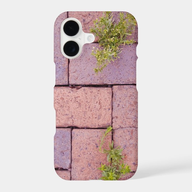 Humourous Gardener's Nightmare Weeds in Bricks (Back)