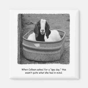 Humourous Goat Spa Day Magnet