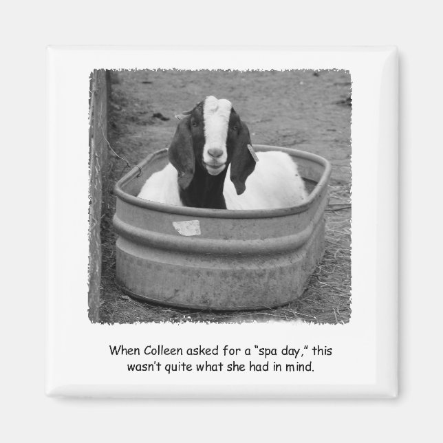 Humourous Goat Spa Day Magnet (Front)