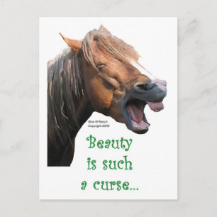 Humourous Horse: Beauty is such a curse Postcard