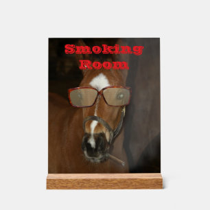 Humourous Horse Foal Smoking Acrylic Desk Sign