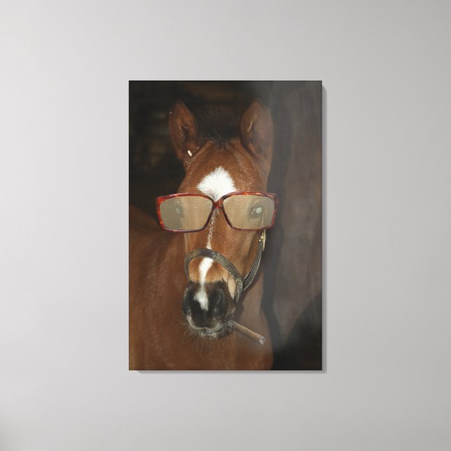 Humourous Horse Foal Smoking Cigar Canvas Art (Front)